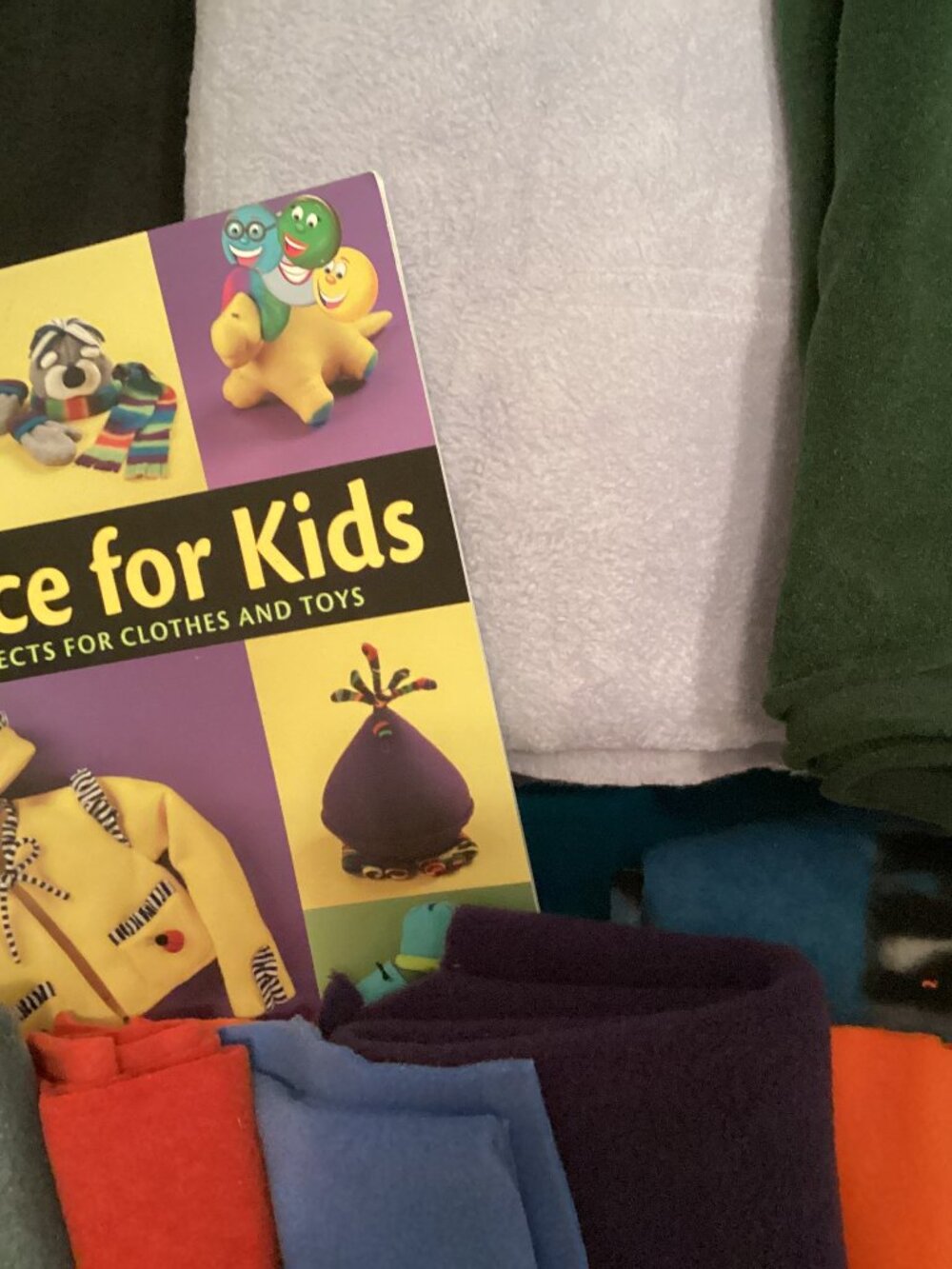 "Fleece for Kids" book and fleece